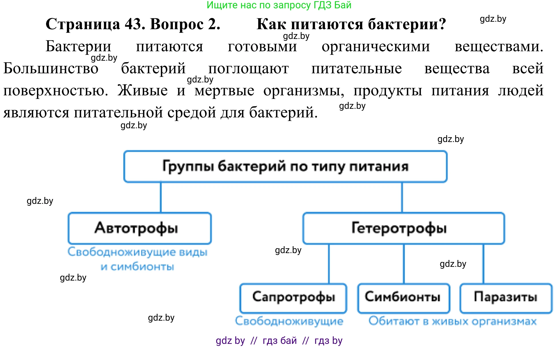 Биология, 6 класс Учебник, автор: Лисов Николай Дмитриевич, издательство Народная асвета, Минск, 2021, зелёного цвета, страница 43, номер 2, Решение