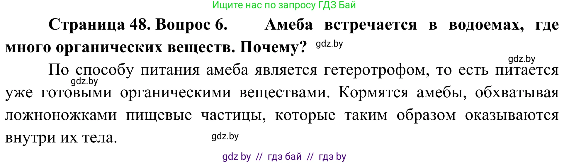 Биология, 6 класс Учебник, автор: Лисов Николай Дмитриевич, издательство Народная асвета, Минск, 2021, зелёного цвета, страница 48, номер 6, Решение