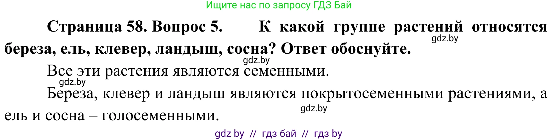 Биология, 6 класс Учебник, автор: Лисов Николай Дмитриевич, издательство Народная асвета, Минск, 2021, зелёного цвета, страница 58, номер 5, Решение