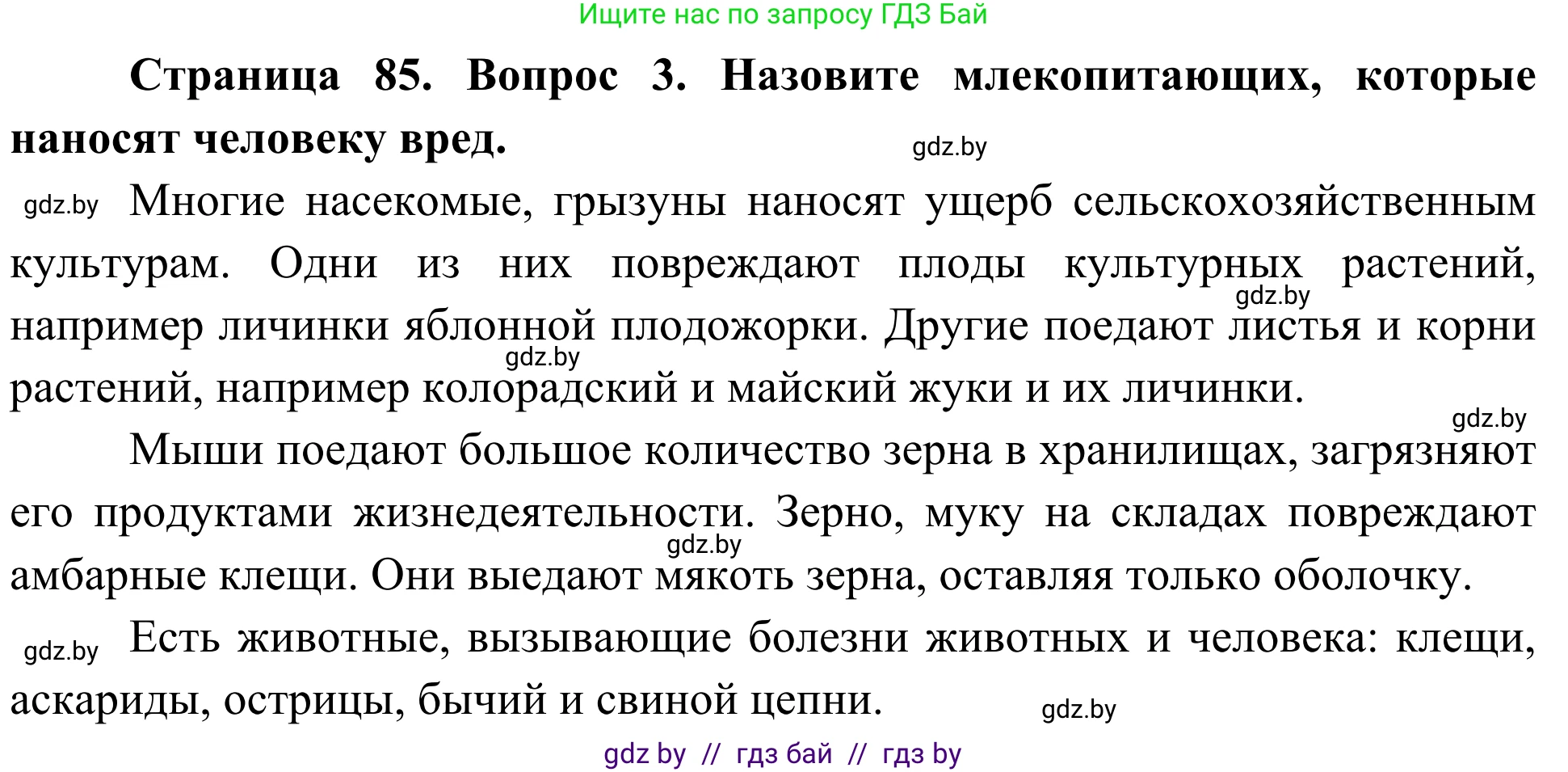 Биология, 6 класс Учебник, автор: Лисов Николай Дмитриевич, издательство Народная асвета, Минск, 2021, зелёного цвета, страница 85, номер 3, Решение