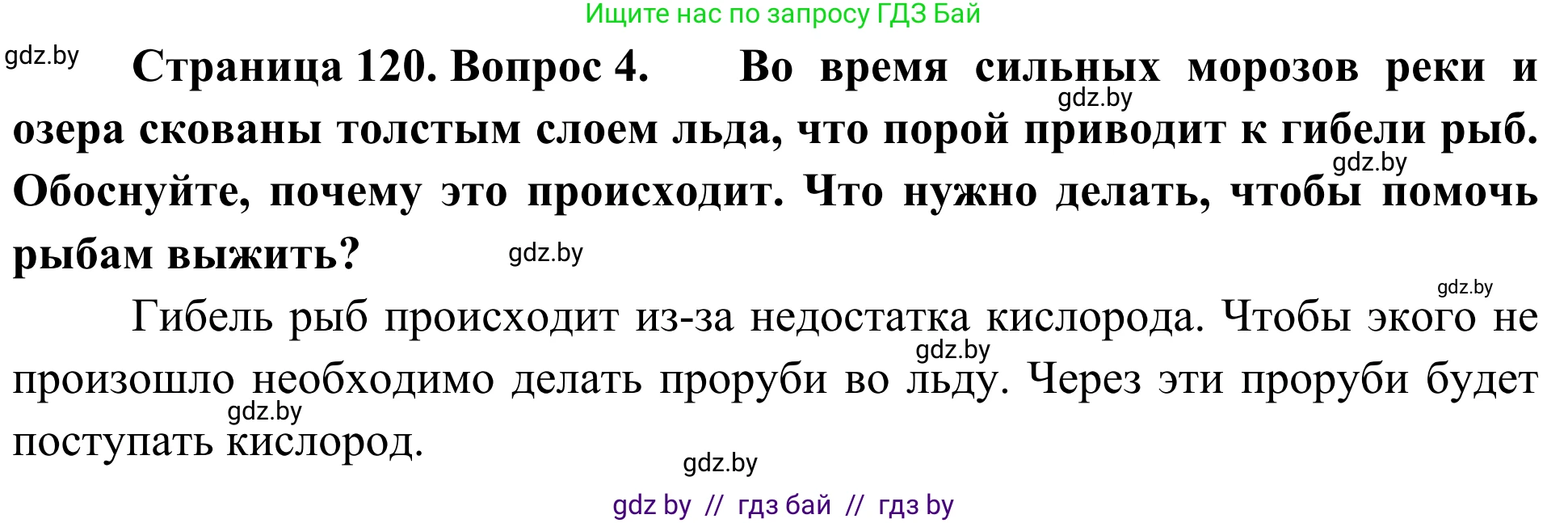 Биология, 6 класс Учебник, автор: Лисов Николай Дмитриевич, издательство Народная асвета, Минск, 2021, зелёного цвета, страница 120, номер 4, Решение