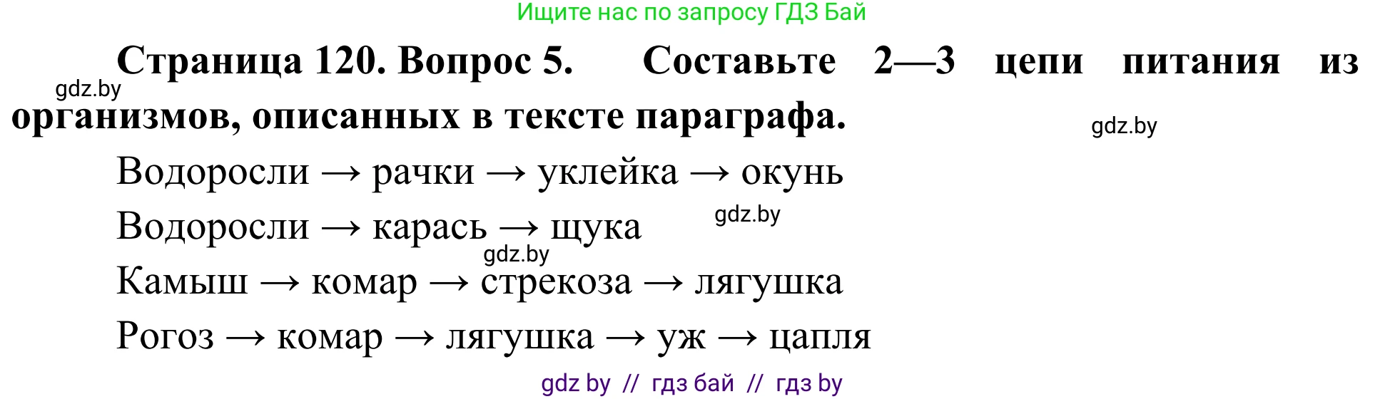 Биология, 6 класс Учебник, автор: Лисов Николай Дмитриевич, издательство Народная асвета, Минск, 2021, зелёного цвета, страница 120, номер 5, Решение