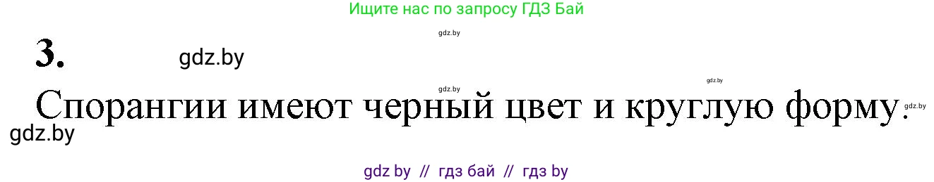 Биология, 7 класс Тетрадь для лабораторных и практических работ, автор: Лисов Николай Дмитриевич, издательство Аверсэв, Минск, 2022, зелёного цвета, страница 11, номер 3, Решение