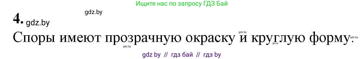 Биология, 7 класс Тетрадь для лабораторных и практических работ, автор: Лисов Николай Дмитриевич, издательство Аверсэв, Минск, 2022, зелёного цвета, страница 11, номер 4, Решение