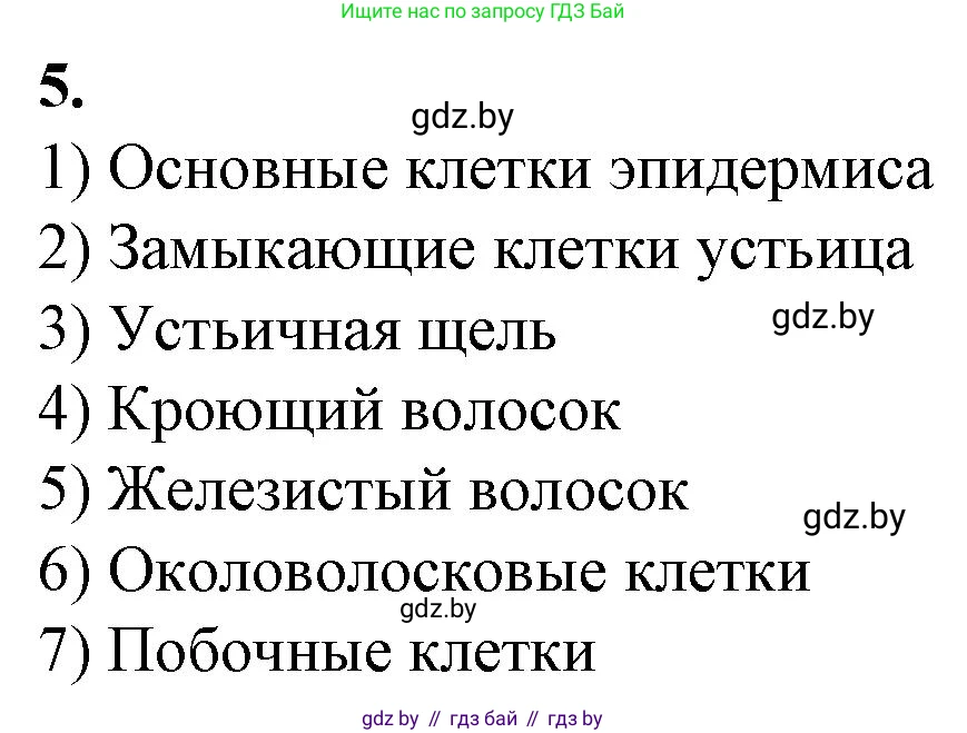Биология, 7 класс Тетрадь для лабораторных и практических работ, автор: Лисов Николай Дмитриевич, издательство Аверсэв, Минск, 2022, зелёного цвета, страница 18, номер 5, Решение