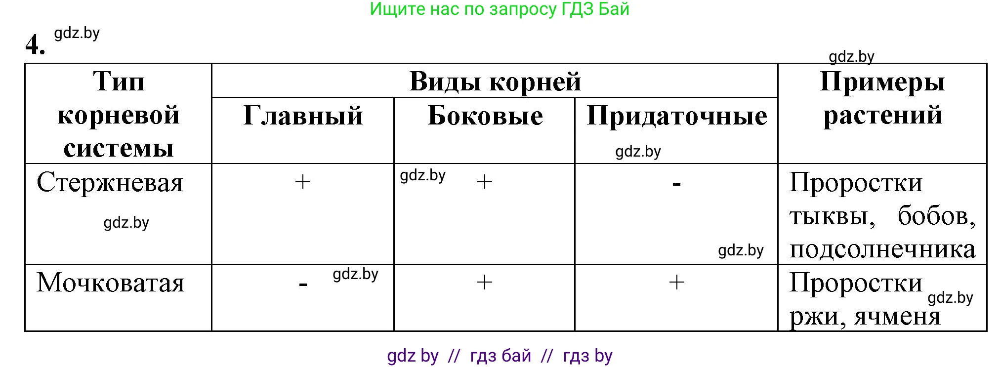 Биология, 7 класс Тетрадь для лабораторных и практических работ, автор: Лисов Николай Дмитриевич, издательство Аверсэв, Минск, 2022, зелёного цвета, страница 27, номер 4, Решение