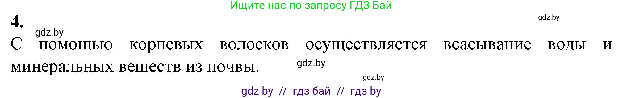 Биология, 7 класс Тетрадь для лабораторных и практических работ, автор: Лисов Николай Дмитриевич, издательство Аверсэв, Минск, 2022, зелёного цвета, страница 29, номер 4, Решение