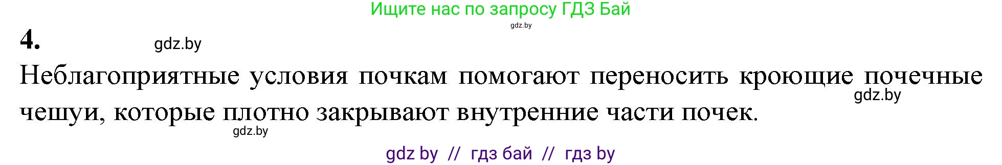 Биология, 7 класс Тетрадь для лабораторных и практических работ, автор: Лисов Николай Дмитриевич, издательство Аверсэв, Минск, 2022, зелёного цвета, страница 31, номер 4, Решение