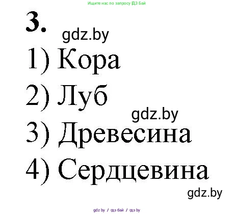 Биология, 7 класс Тетрадь для лабораторных и практических работ, автор: Лисов Николай Дмитриевич, издательство Аверсэв, Минск, 2022, зелёного цвета, страница 39, номер 3, Решение