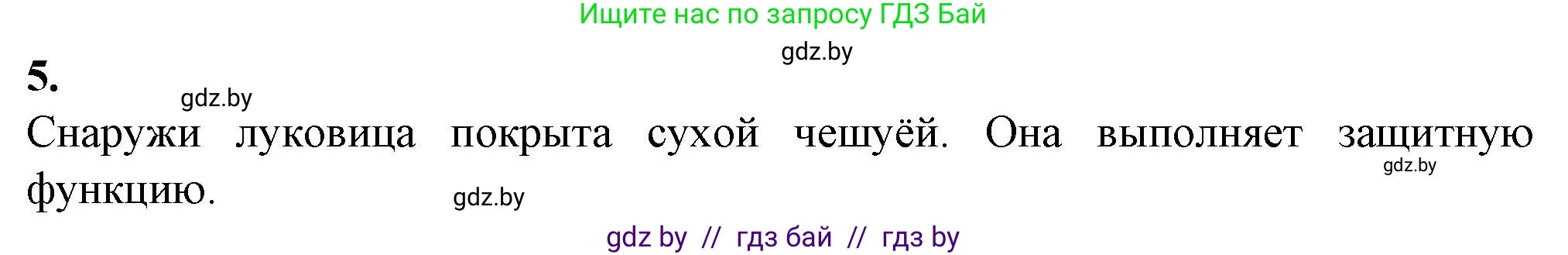 Биология, 7 класс Тетрадь для лабораторных и практических работ, автор: Лисов Николай Дмитриевич, издательство Аверсэв, Минск, 2022, зелёного цвета, страница 40, номер 5, Решение