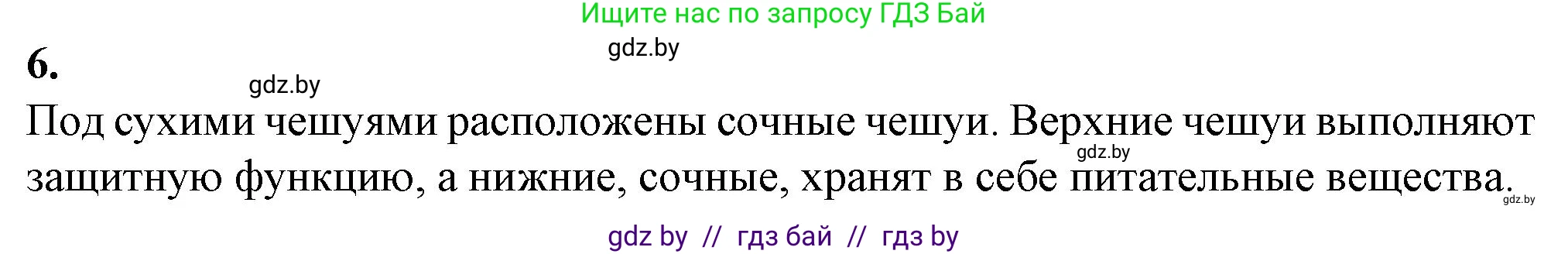 Биология, 7 класс Тетрадь для лабораторных и практических работ, автор: Лисов Николай Дмитриевич, издательство Аверсэв, Минск, 2022, зелёного цвета, страница 41, номер 6, Решение