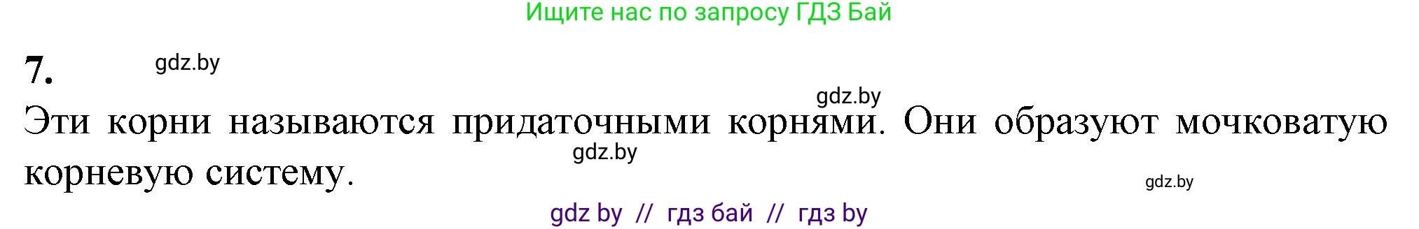 Биология, 7 класс Тетрадь для лабораторных и практических работ, автор: Лисов Николай Дмитриевич, издательство Аверсэв, Минск, 2022, зелёного цвета, страница 41, номер 7, Решение