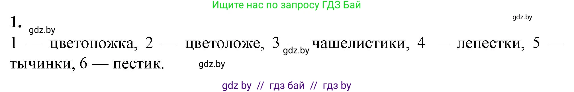 Биология, 7 класс Тетрадь для лабораторных и практических работ, автор: Лисов Николай Дмитриевич, издательство Аверсэв, Минск, 2022, зелёного цвета, страница 47, номер 1, Решение