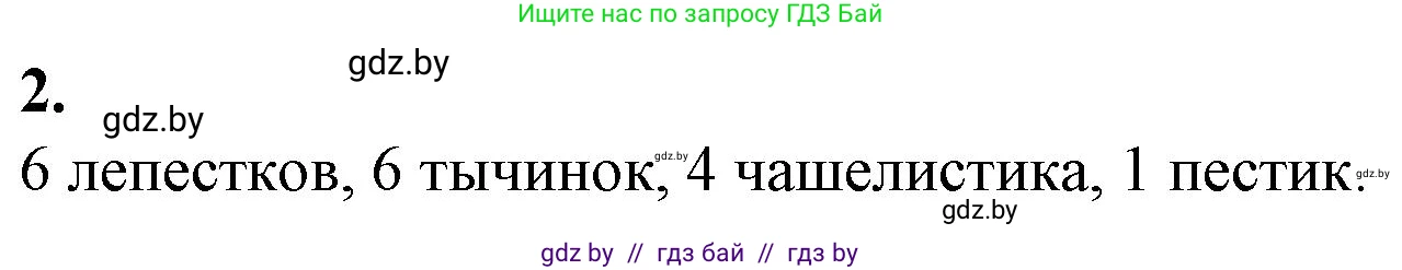 Биология, 7 класс Тетрадь для лабораторных и практических работ, автор: Лисов Николай Дмитриевич, издательство Аверсэв, Минск, 2022, зелёного цвета, страница 48, номер 2, Решение