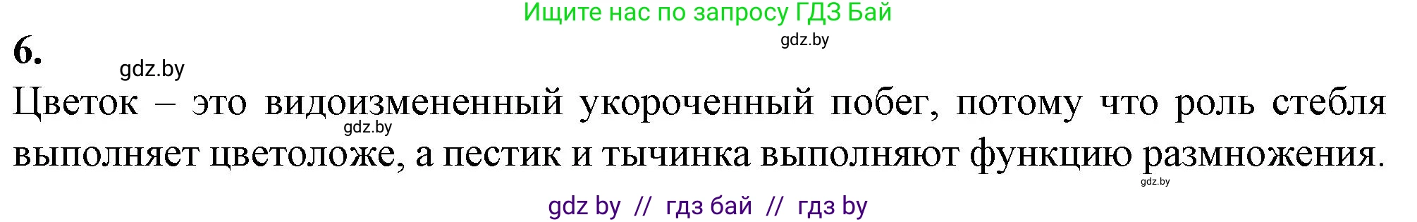 Биология, 7 класс Тетрадь для лабораторных и практических работ, автор: Лисов Николай Дмитриевич, издательство Аверсэв, Минск, 2022, зелёного цвета, страница 48, номер 6, Решение