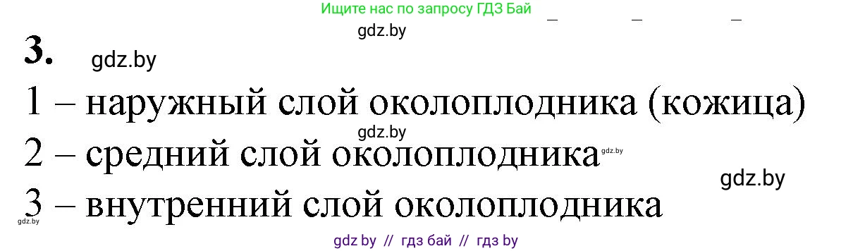 Биология, 7 класс Тетрадь для лабораторных и практических работ, автор: Лисов Николай Дмитриевич, издательство Аверсэв, Минск, 2022, зелёного цвета, страница 53, номер 3, Решение