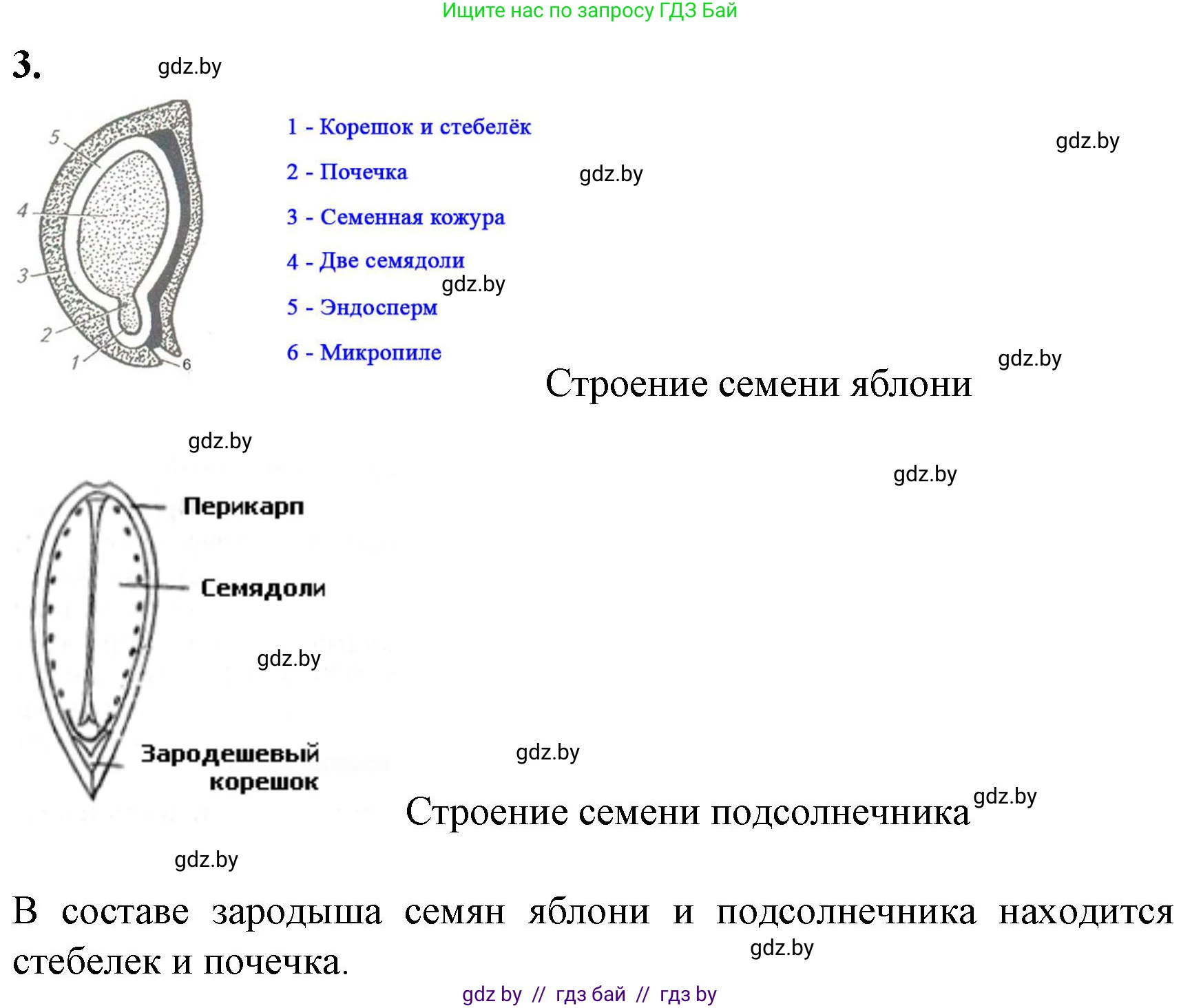 Биология, 7 класс Тетрадь для лабораторных и практических работ, автор: Лисов Николай Дмитриевич, издательство Аверсэв, Минск, 2022, зелёного цвета, страница 58, Решение