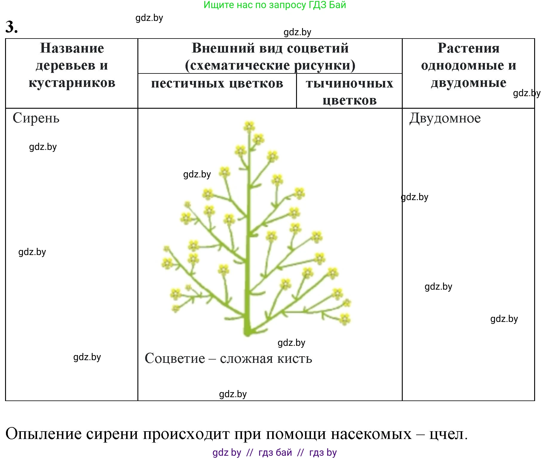 Биология, 7 класс Тетрадь для лабораторных и практических работ, автор: Лисов Николай Дмитриевич, издательство Аверсэв, Минск, 2022, зелёного цвета, страница 61, номер 3, Решение