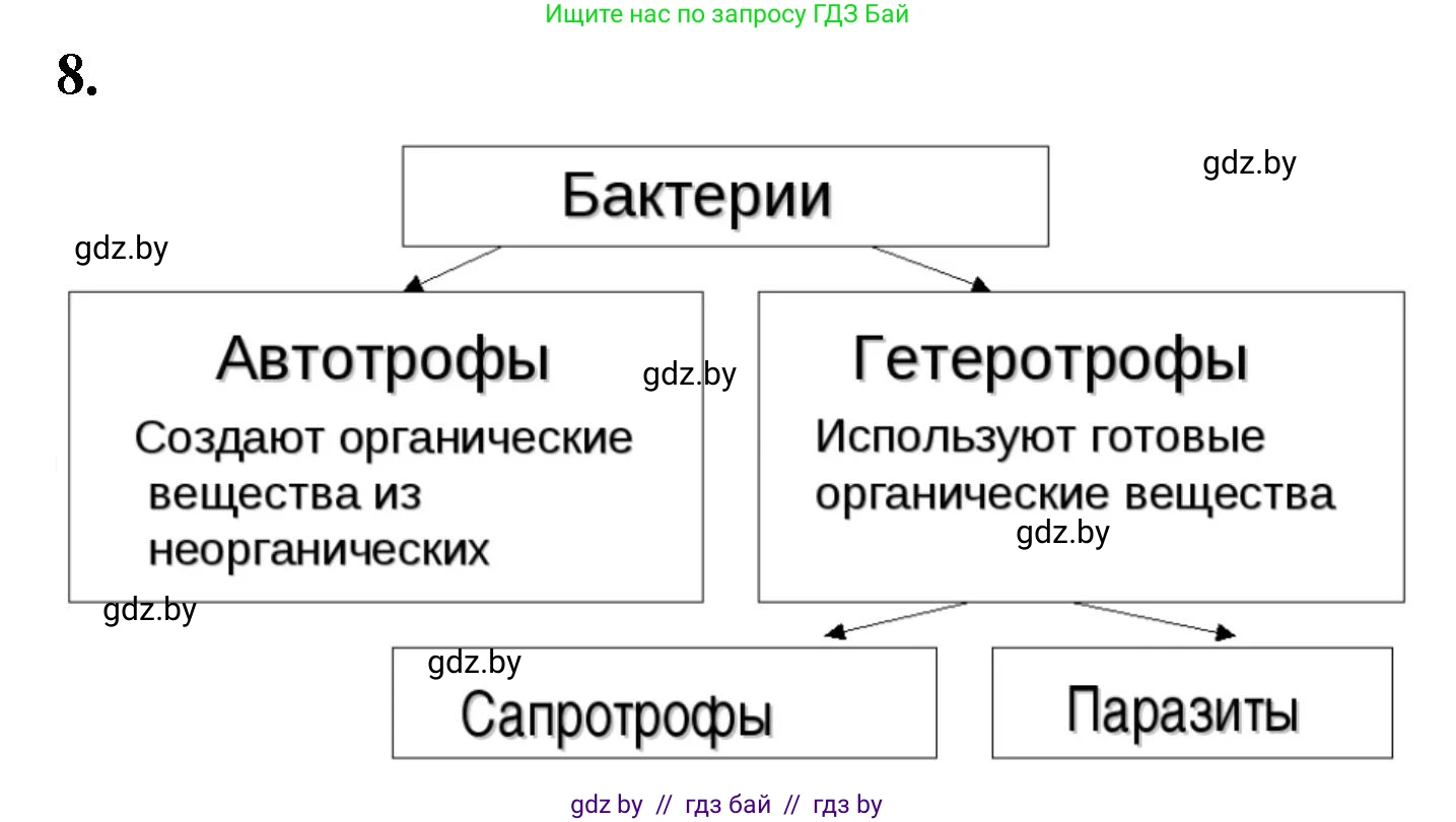 Биология, 7 класс рабочая тетрадь, автор: Лисов Николай Дмитриевич, издательство Аверсэв, Минск, 2022, коричневого цвета, страница 7, номер 8, Решение