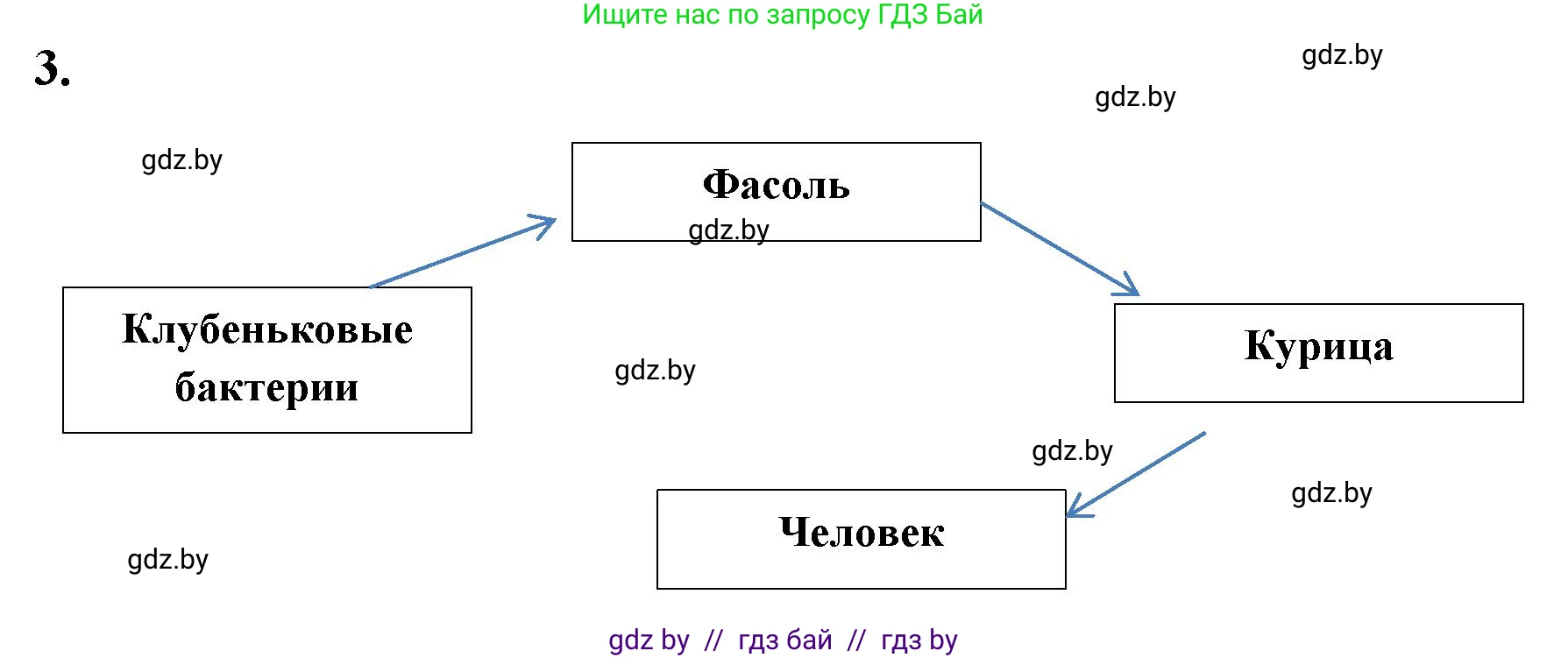 Биология, 7 класс рабочая тетрадь, автор: Лисов Николай Дмитриевич, издательство Аверсэв, Минск, 2022, коричневого цвета, страница 9, номер 3, Решение