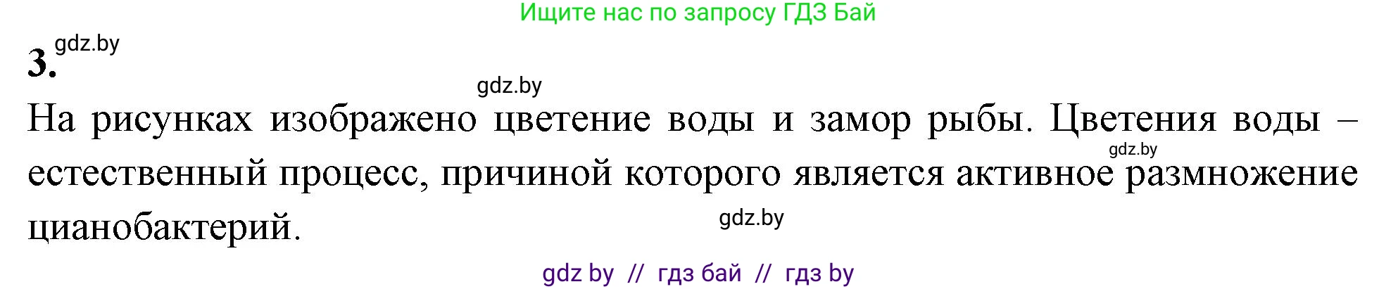 Биология, 7 класс рабочая тетрадь, автор: Лисов Николай Дмитриевич, издательство Аверсэв, Минск, 2022, коричневого цвета, страница 13, номер 3, Решение