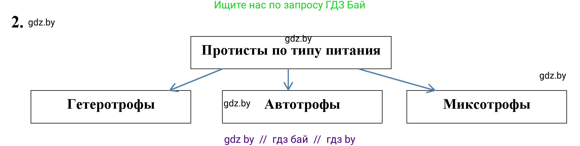 Биология, 7 класс рабочая тетрадь, автор: Лисов Николай Дмитриевич, издательство Аверсэв, Минск, 2022, коричневого цвета, страница 15, номер 2, Решение