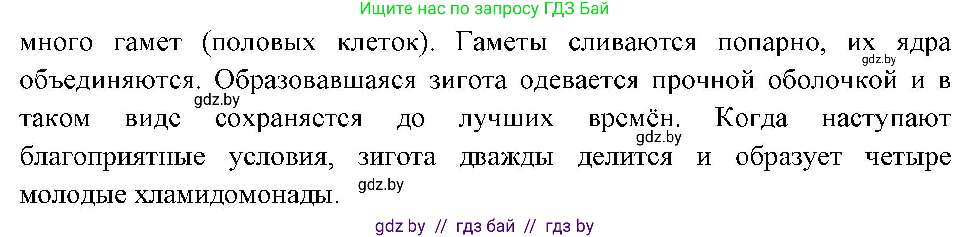 Биология, 7 класс рабочая тетрадь, автор: Лисов Николай Дмитриевич, издательство Аверсэв, Минск, 2022, коричневого цвета, страница 19, номер 4, Решение (продолжение 2)