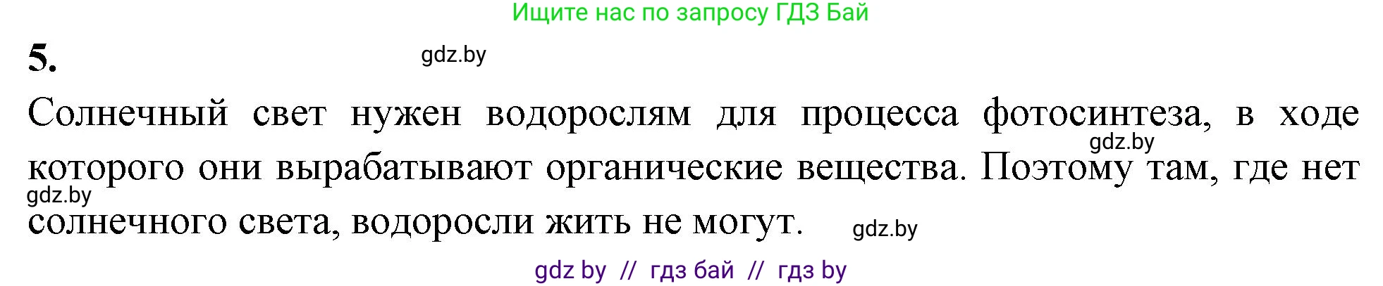Биология, 7 класс рабочая тетрадь, автор: Лисов Николай Дмитриевич, издательство Аверсэв, Минск, 2022, коричневого цвета, страница 19, номер 5, Решение