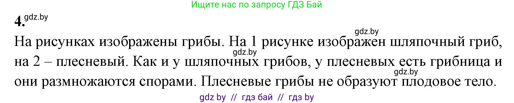 Биология, 7 класс рабочая тетрадь, автор: Лисов Николай Дмитриевич, издательство Аверсэв, Минск, 2022, коричневого цвета, страница 29, номер 4, Решение