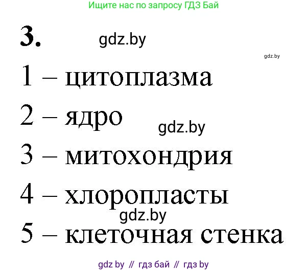 Биология, 7 класс рабочая тетрадь, автор: Лисов Николай Дмитриевич, издательство Аверсэв, Минск, 2022, коричневого цвета, страница 35, номер 3, Решение