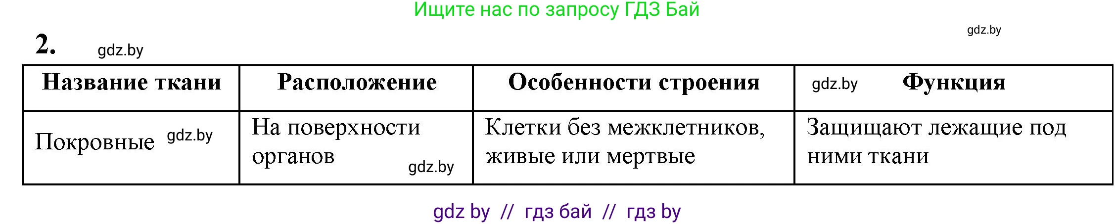 Биология, 7 класс рабочая тетрадь, автор: Лисов Николай Дмитриевич, издательство Аверсэв, Минск, 2022, коричневого цвета, страница 37, номер 2, Решение