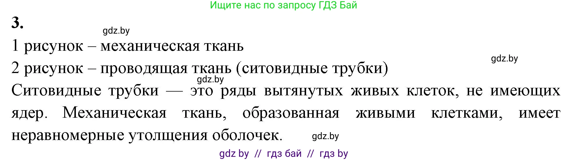 Биология, 7 класс рабочая тетрадь, автор: Лисов Николай Дмитриевич, издательство Аверсэв, Минск, 2022, коричневого цвета, страница 37, номер 3, Решение