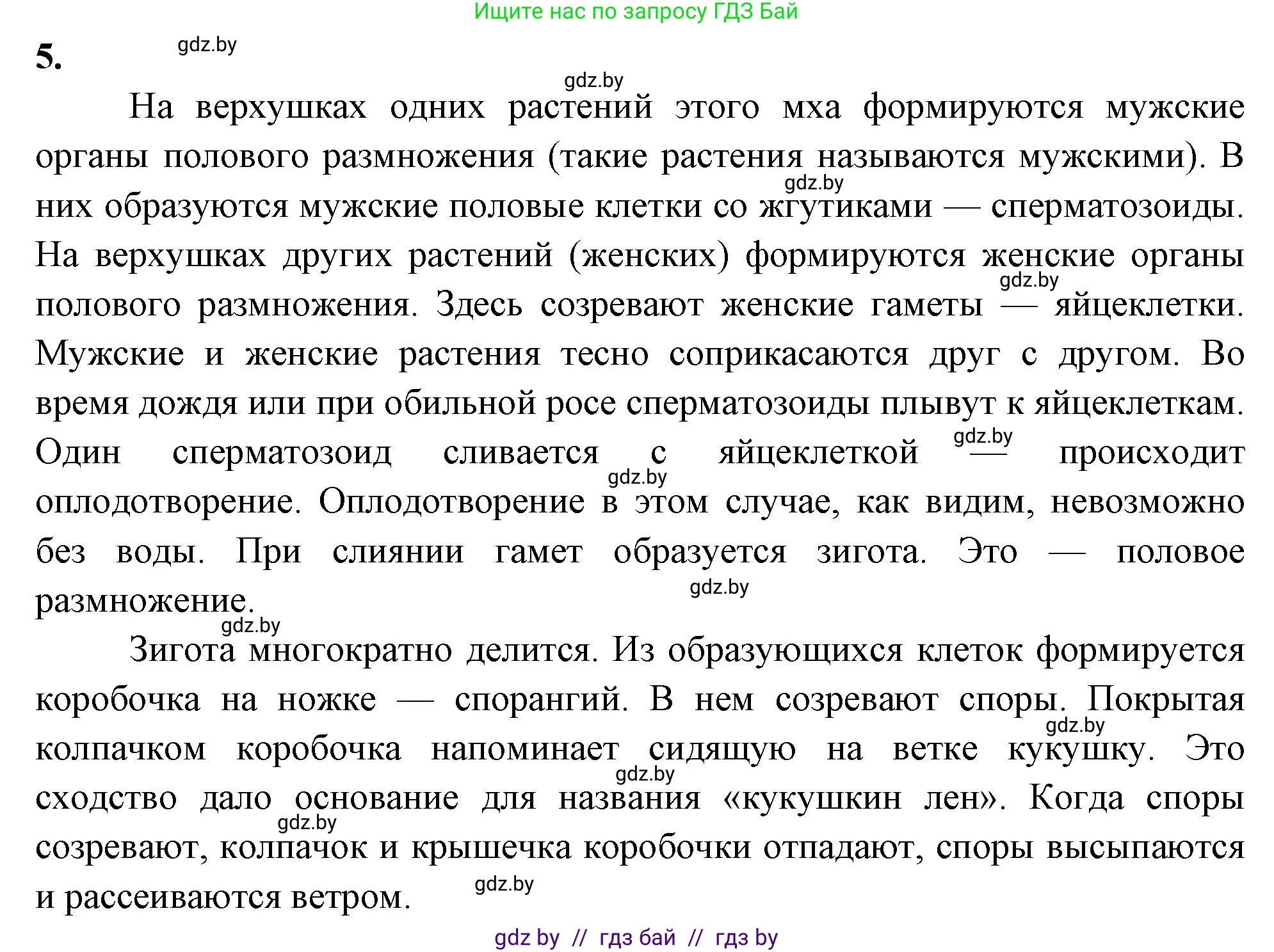 Биология, 7 класс рабочая тетрадь, автор: Лисов Николай Дмитриевич, издательство Аверсэв, Минск, 2022, коричневого цвета, страница 41, номер 5, Решение