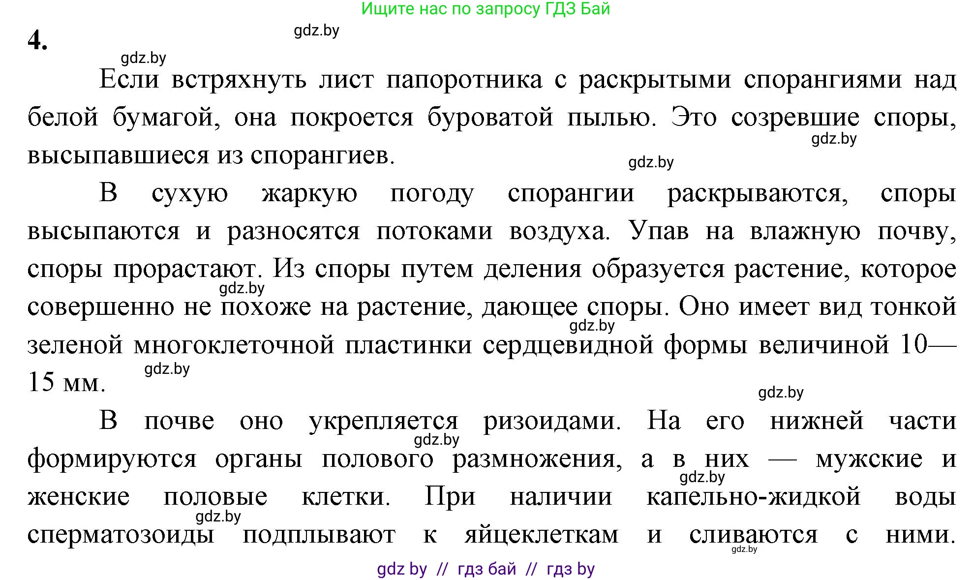 Биология, 7 класс рабочая тетрадь, автор: Лисов Николай Дмитриевич, издательство Аверсэв, Минск, 2022, коричневого цвета, страница 46, номер 4, Решение