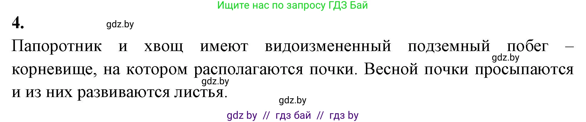 Биология, 7 класс рабочая тетрадь, автор: Лисов Николай Дмитриевич, издательство Аверсэв, Минск, 2022, коричневого цвета, страница 47, номер 4, Решение
