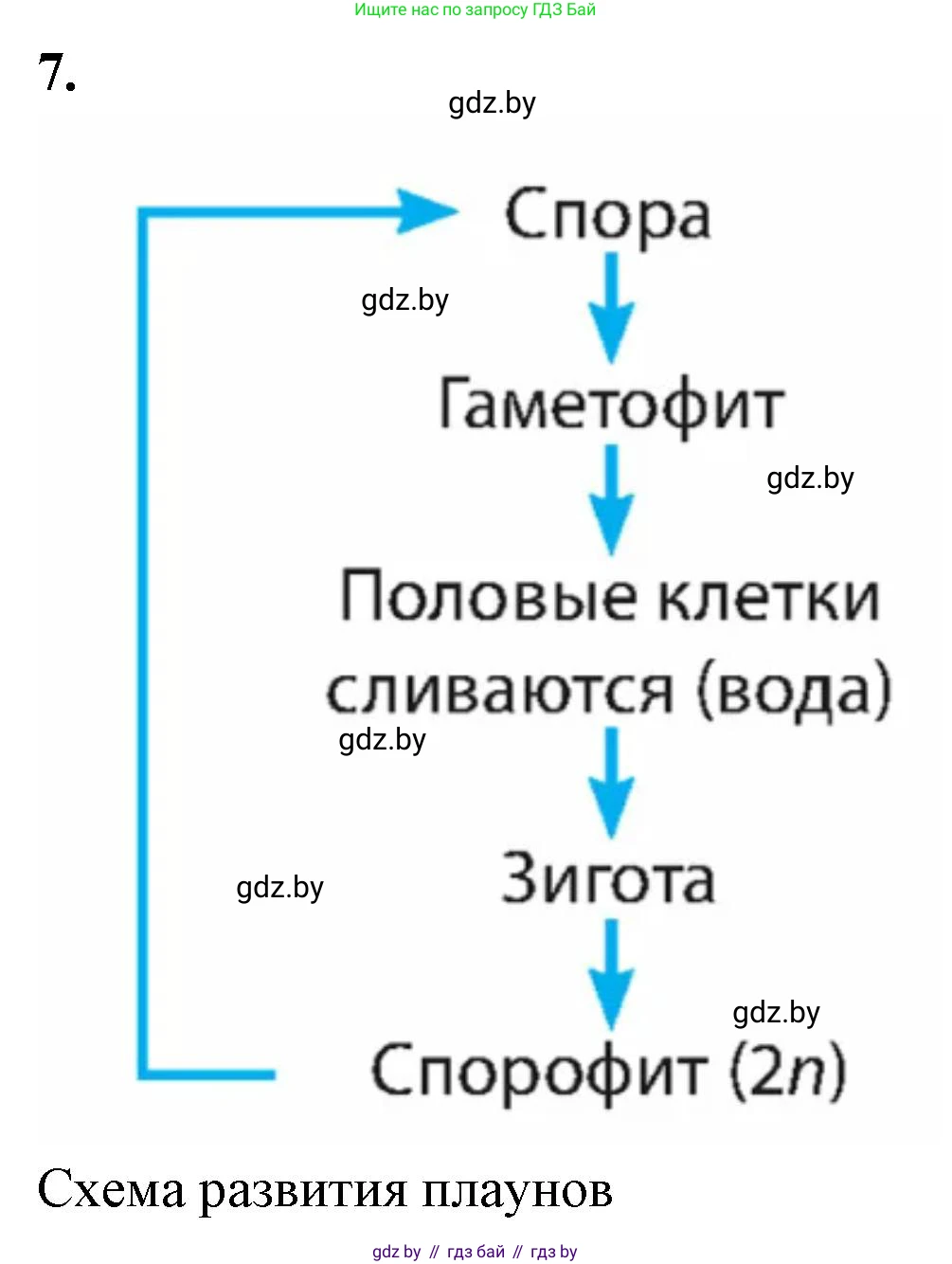 Биология, 7 класс рабочая тетрадь, автор: Лисов Николай Дмитриевич, издательство Аверсэв, Минск, 2022, коричневого цвета, страница 48, номер 7, Решение