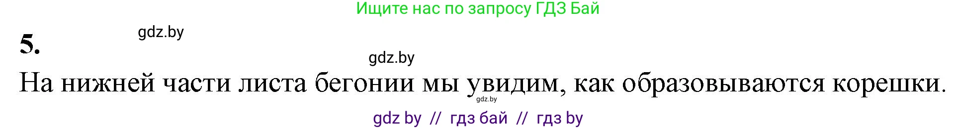 Биология, 7 класс рабочая тетрадь, автор: Лисов Николай Дмитриевич, издательство Аверсэв, Минск, 2022, коричневого цвета, страница 55, номер 5, Решение