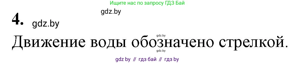 Биология, 7 класс рабочая тетрадь, автор: Лисов Николай Дмитриевич, издательство Аверсэв, Минск, 2022, коричневого цвета, страница 56, номер 4, Решение