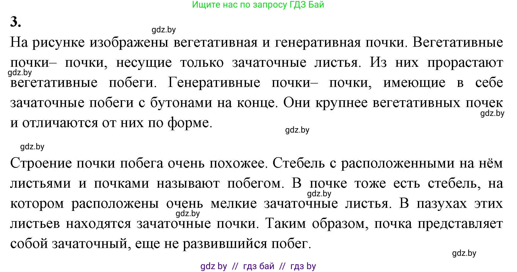 Биология, 7 класс рабочая тетрадь, автор: Лисов Николай Дмитриевич, издательство Аверсэв, Минск, 2022, коричневого цвета, страница 60, номер 3, Решение