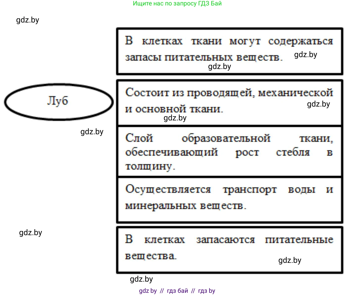Биология, 7 класс рабочая тетрадь, автор: Лисов Николай Дмитриевич, издательство Аверсэв, Минск, 2022, коричневого цвета, страница 62, номер 3, Решение