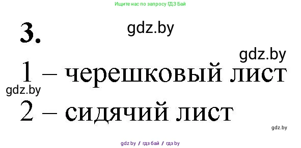 Биология, 7 класс рабочая тетрадь, автор: Лисов Николай Дмитриевич, издательство Аверсэв, Минск, 2022, коричневого цвета, страница 64, номер 3, Решение
