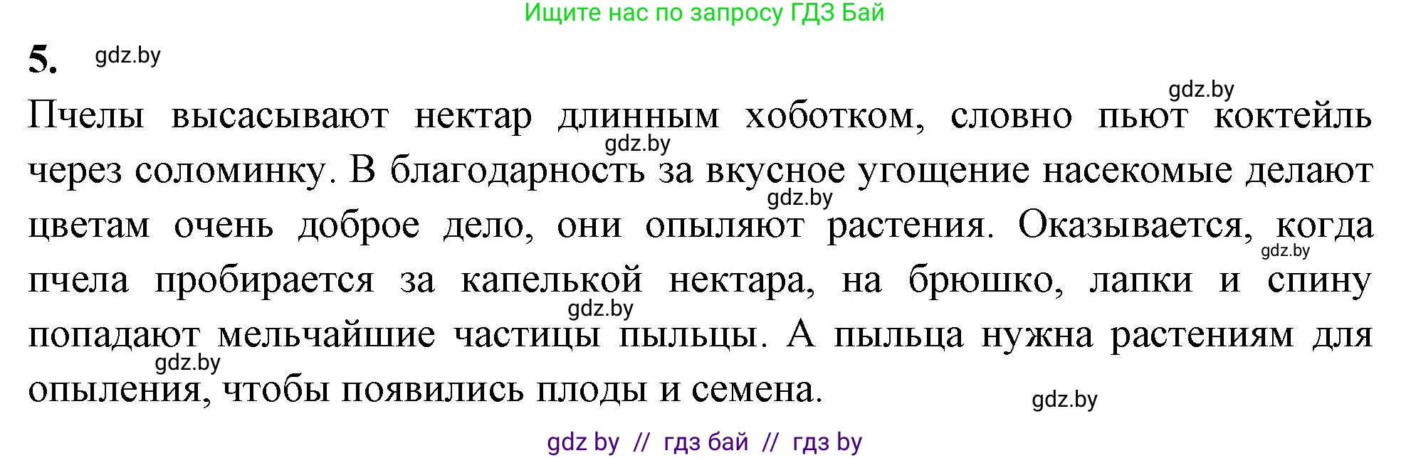 Биология, 7 класс рабочая тетрадь, автор: Лисов Николай Дмитриевич, издательство Аверсэв, Минск, 2022, коричневого цвета, страница 75, номер 5, Решение