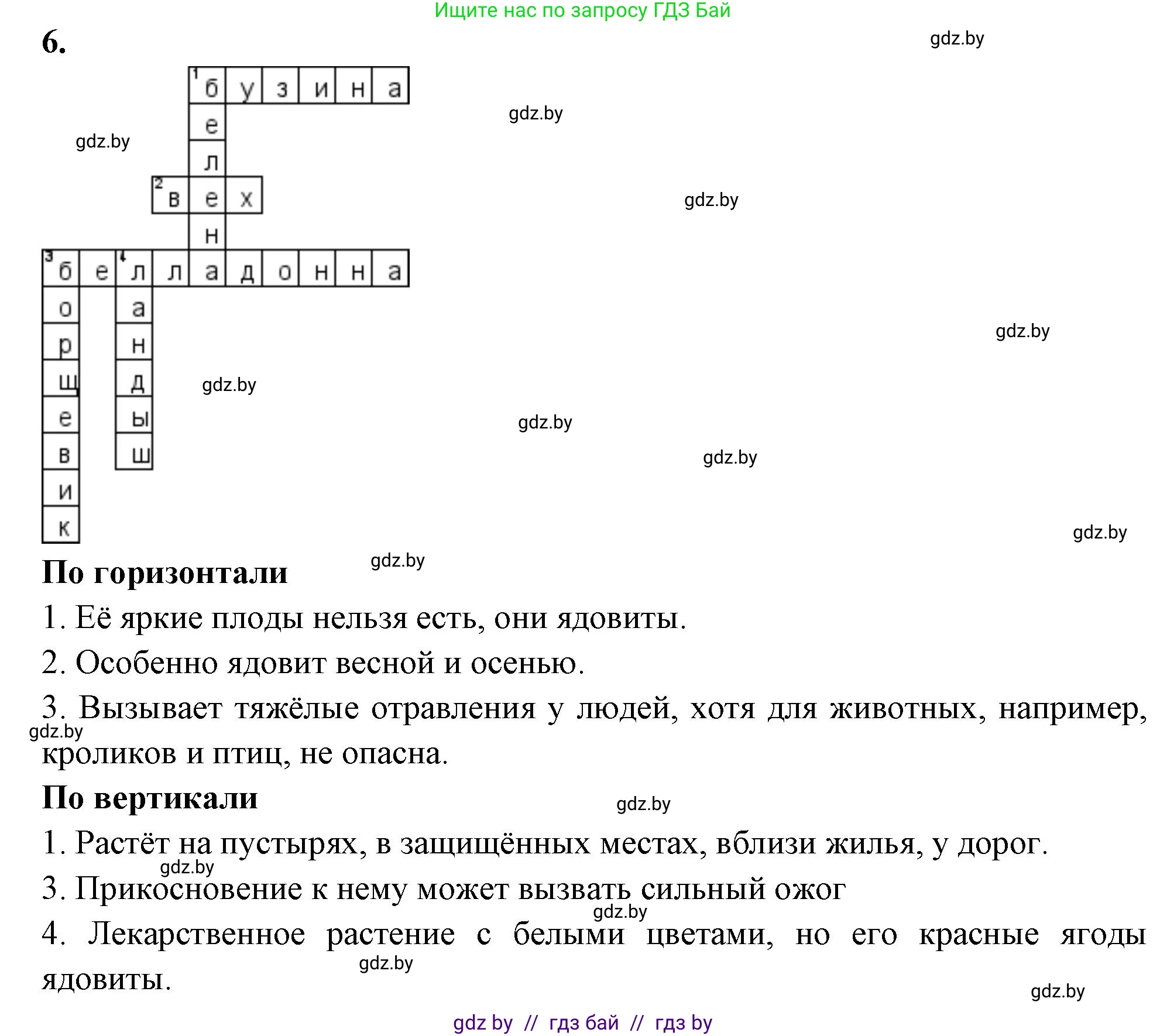 Биология, 7 класс рабочая тетрадь, автор: Лисов Николай Дмитриевич, издательство Аверсэв, Минск, 2022, коричневого цвета, страница 90, номер 6, Решение