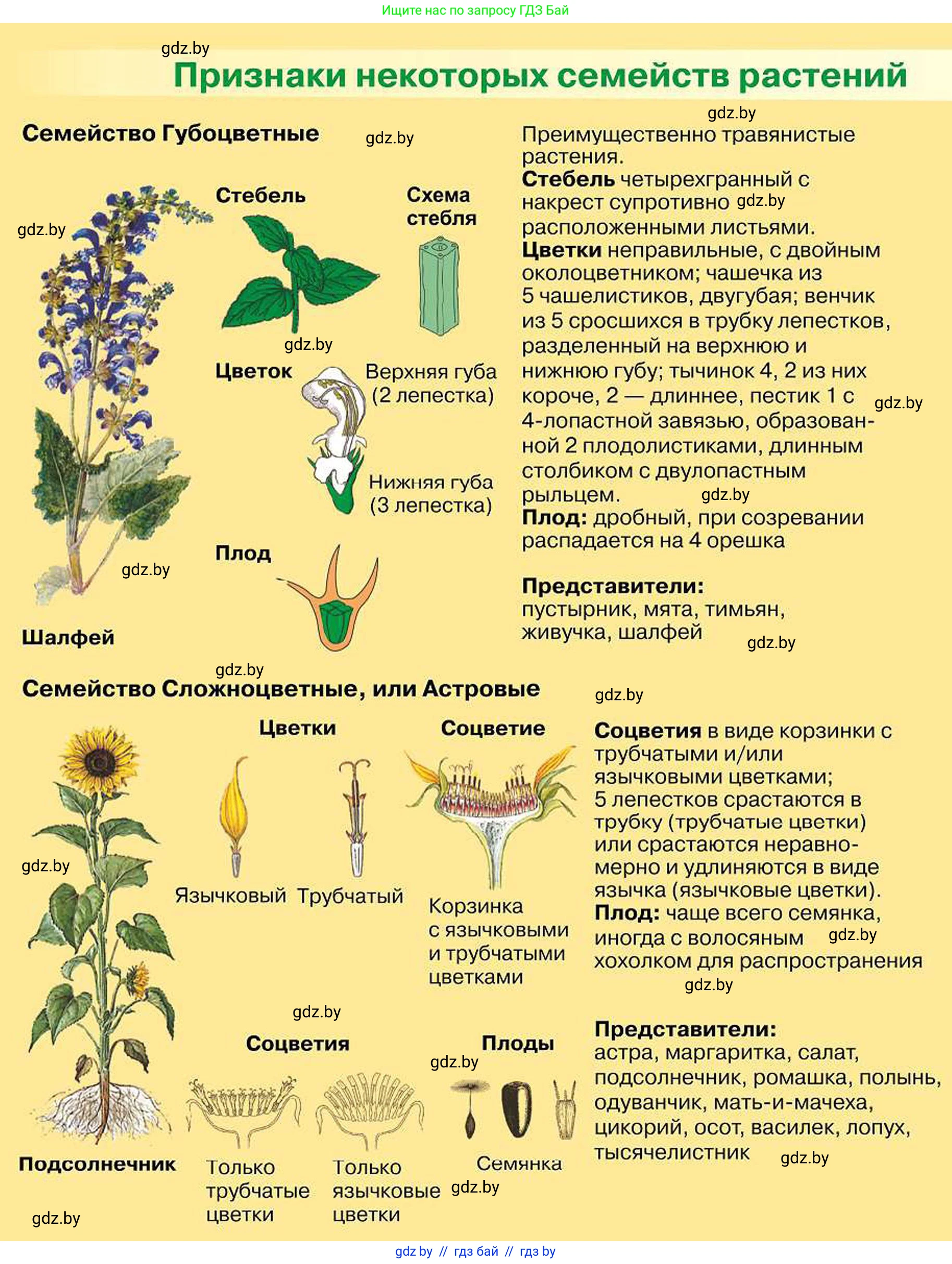 Биология, 7 класс Учебник, автор: Лисов Николай Дмитриевич, издательство Народная асвета, Минск, 2022, зелёного цвета, 