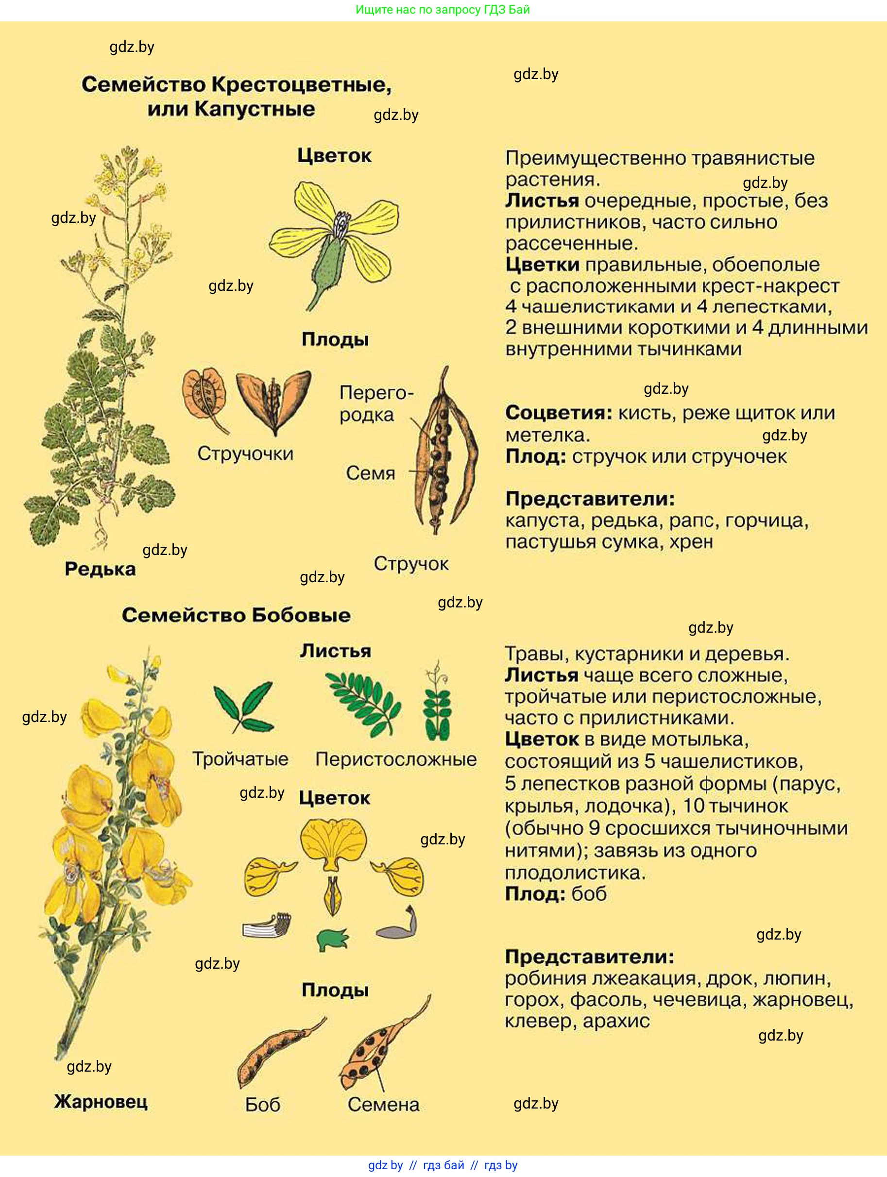 Биология, 7 класс Учебник, автор: Лисов Николай Дмитриевич, издательство Народная асвета, Минск, 2022, зелёного цвета, 
