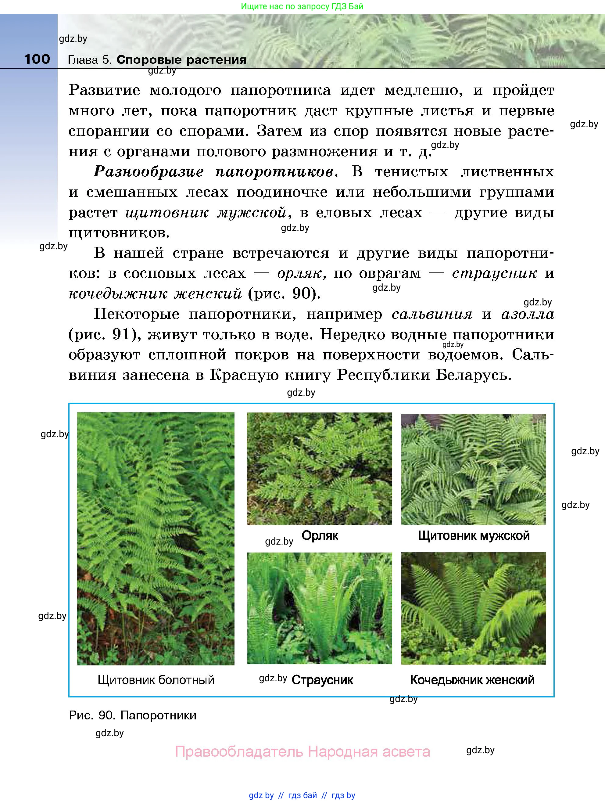 Биология, 7 класс Учебник, автор: Лисов Николай Дмитриевич, издательство Народная асвета, Минск, 2022, зелёного цвета, страница 100