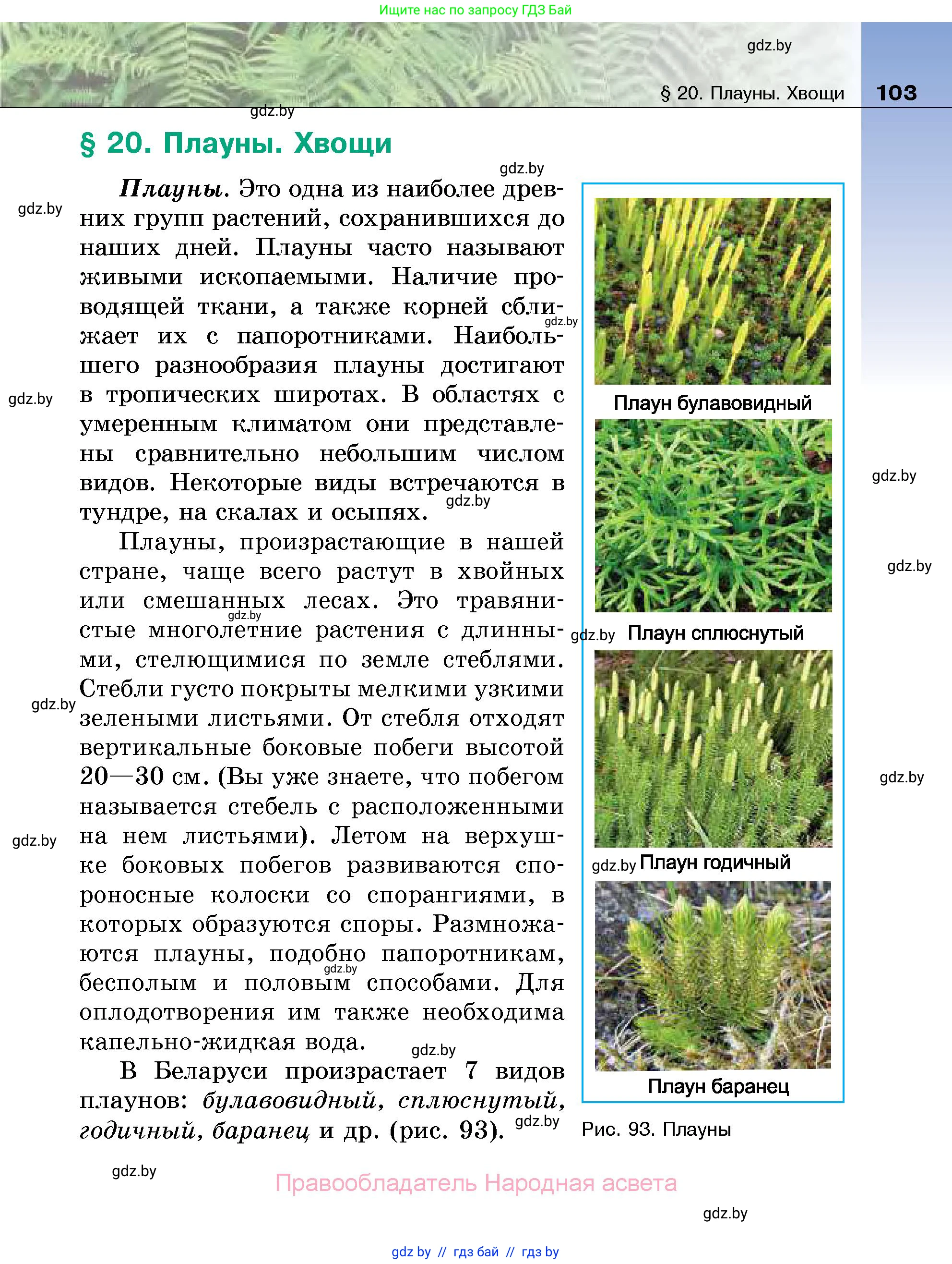 Биология, 7 класс Учебник, автор: Лисов Николай Дмитриевич, издательство Народная асвета, Минск, 2022, зелёного цвета, страница 103