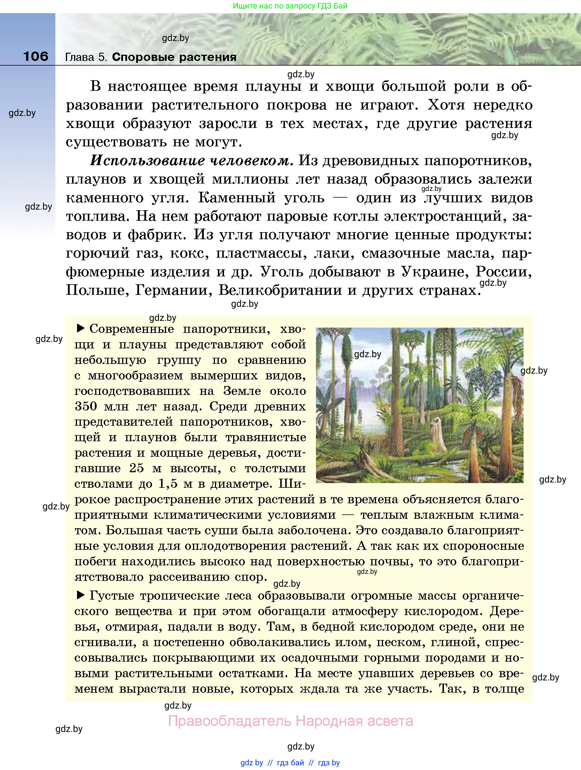 Биология, 7 класс Учебник, автор: Лисов Николай Дмитриевич, издательство Народная асвета, Минск, 2022, зелёного цвета, страница 106