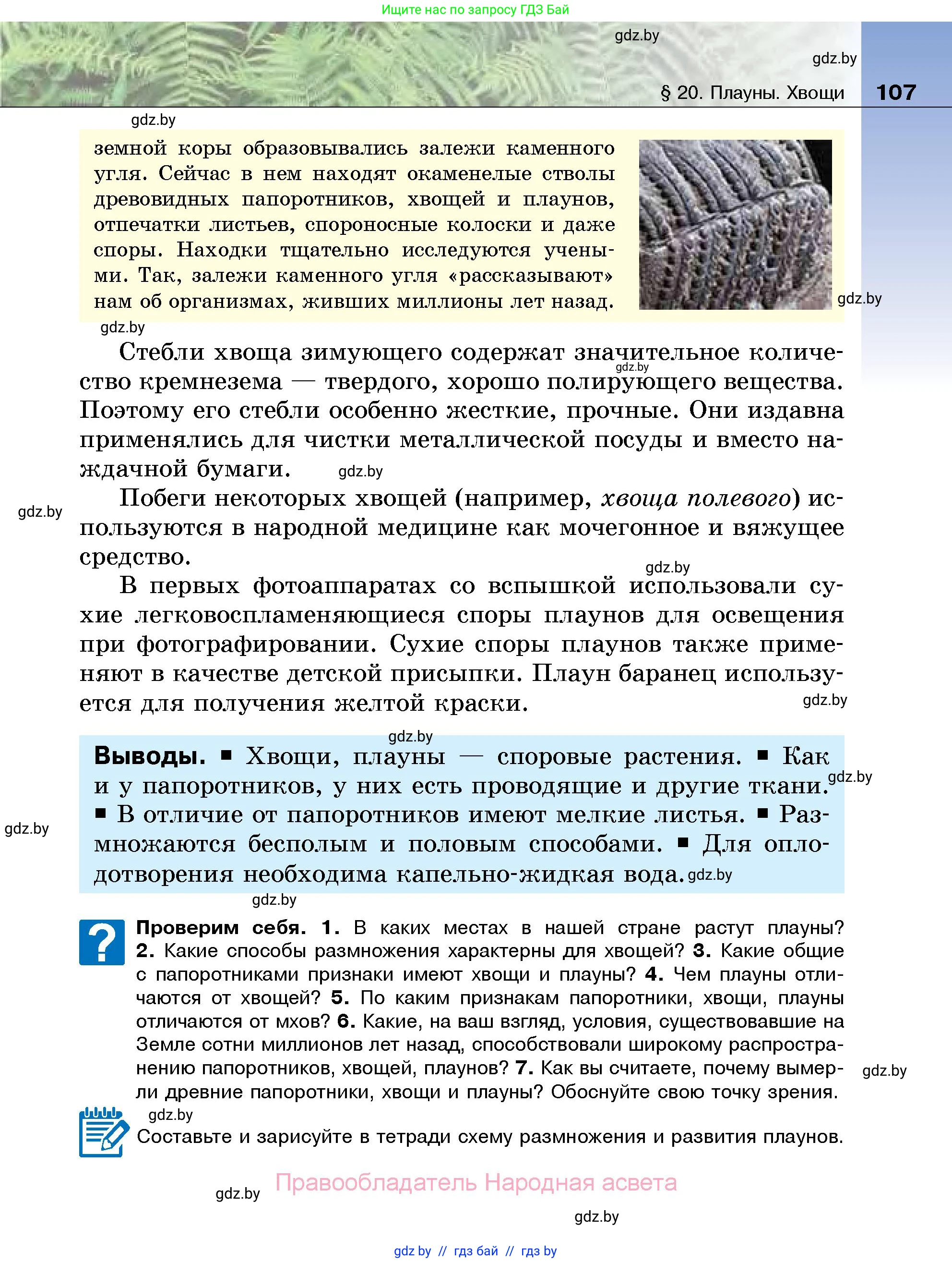 Биология, 7 класс Учебник, автор: Лисов Николай Дмитриевич, издательство Народная асвета, Минск, 2022, зелёного цвета, страница 107