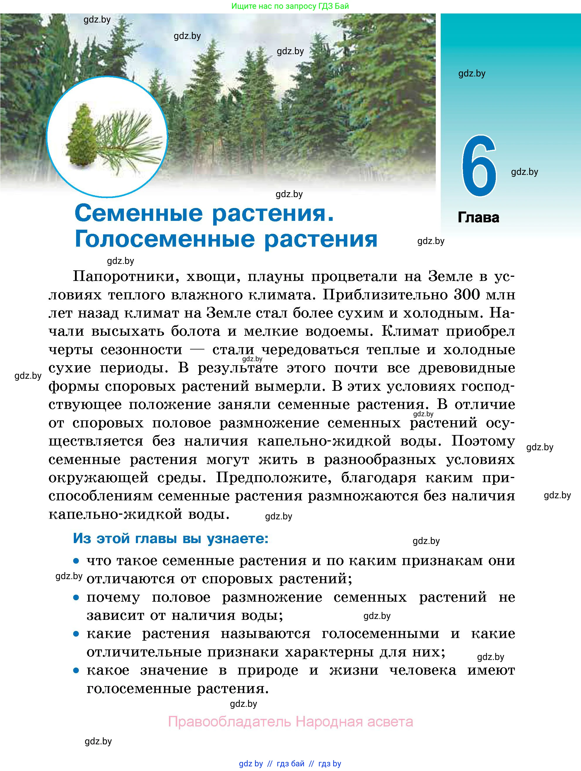 Биология, 7 класс Учебник, автор: Лисов Николай Дмитриевич, издательство Народная асвета, Минск, 2022, зелёного цвета, страница 109
